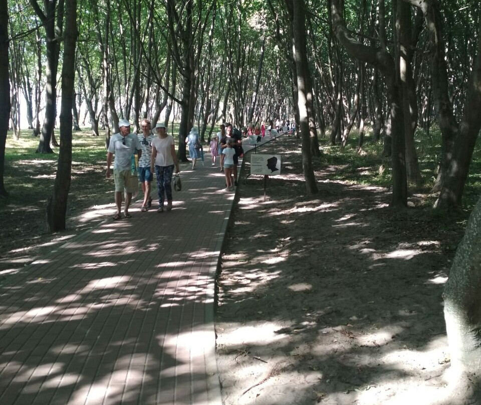 Literaturnaya Yantarnaya Alley景点图片