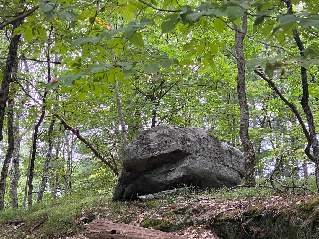 Tongue Mountain Range Trails景点图片