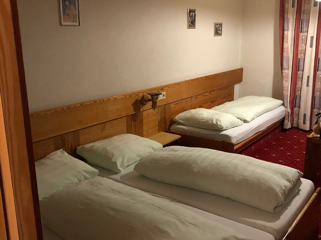 Hotel Alpina-Regina主图