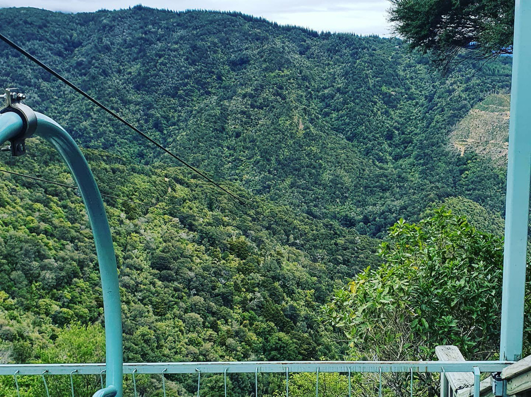 Cable Bay Adventure Park-尼尔森必去景点