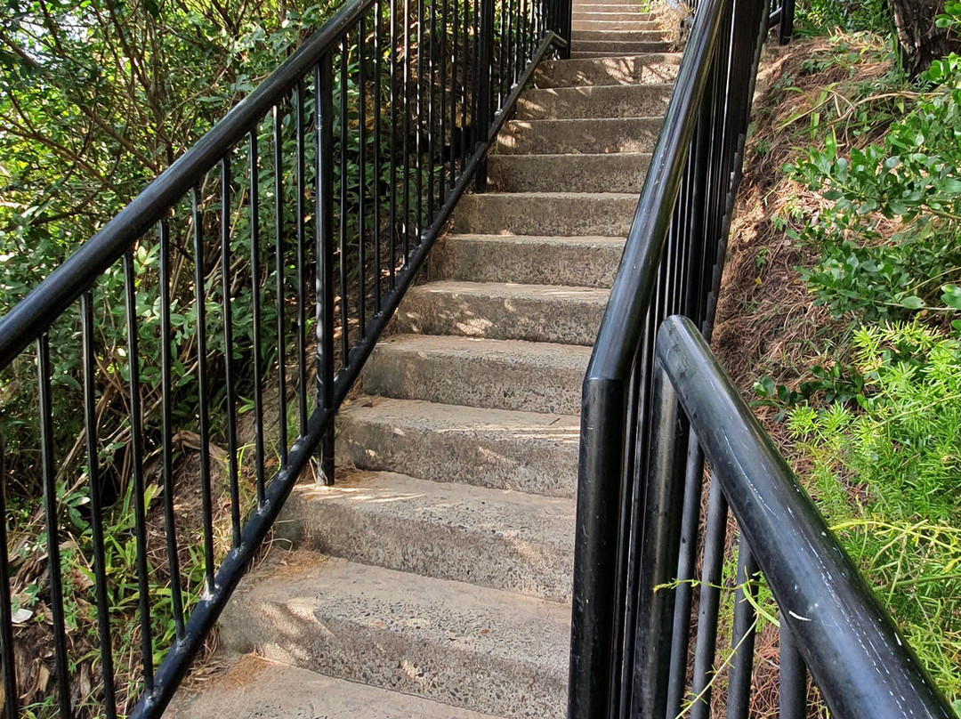 Miami Stairs-Miami必去景点