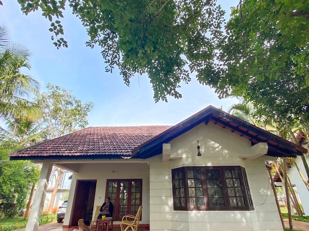 Carpe Diem Stay主图