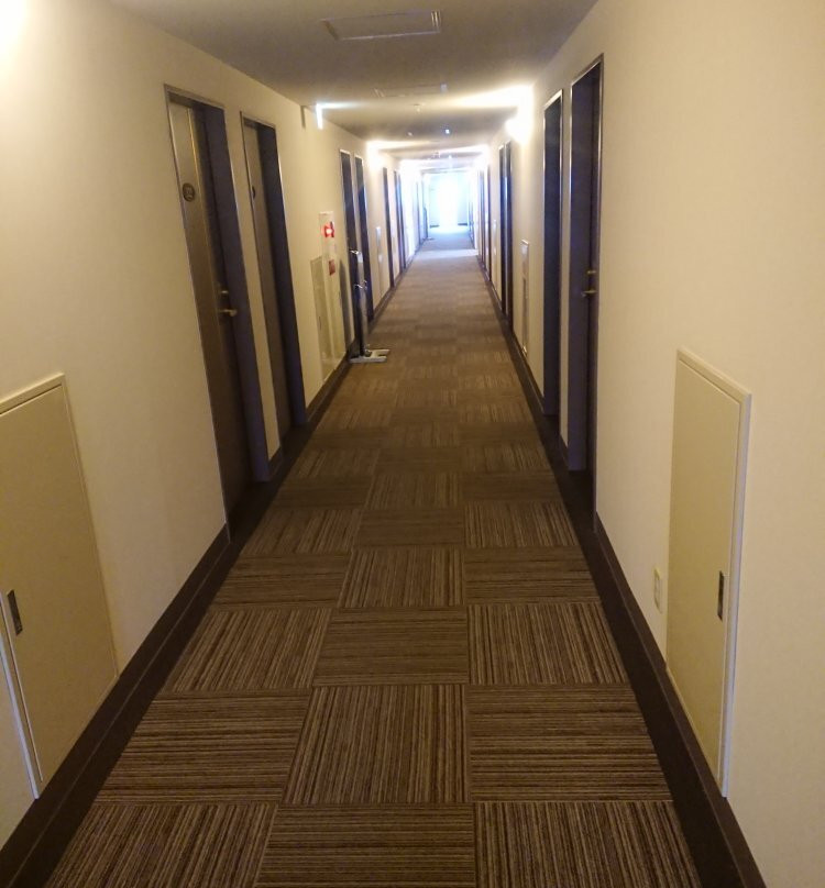 熊本荒生卡梅诺伊酒店主图