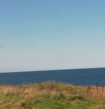 Eyemouth Fort-Eyemouth必去景点