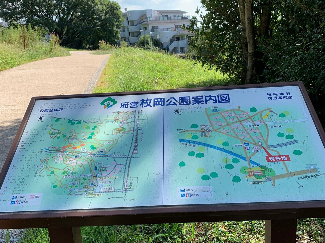 Hiraoka Park-东大阪市必去景点