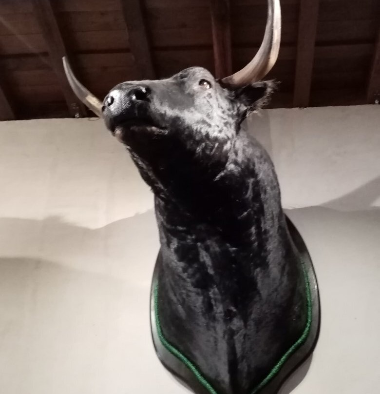 Museo de la Carcel Real景点图片