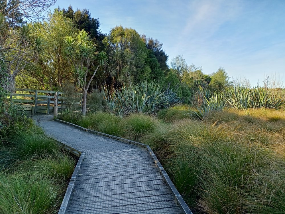 Travis Wetland-基督城必去景点