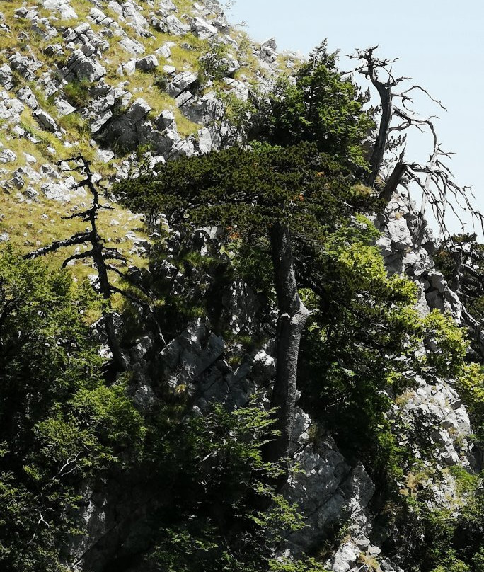 Belvedere Del Malvento景点图片