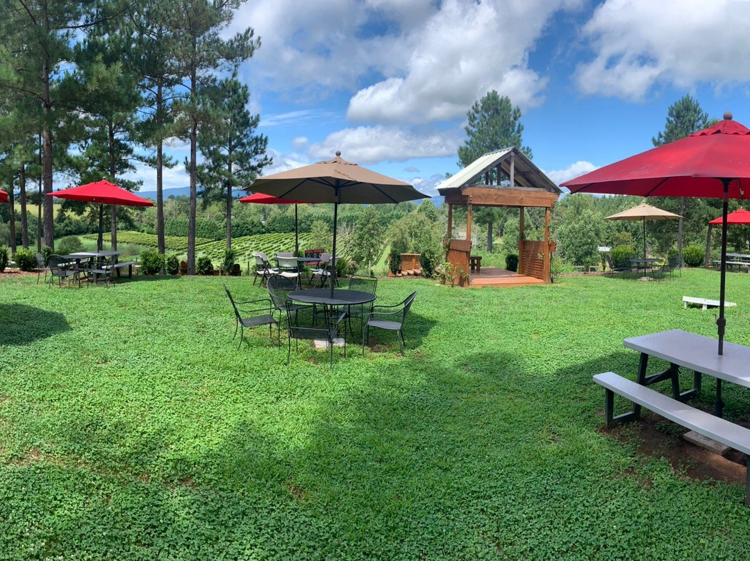 Parker-Binns Vineyard-米尔泉必去景点