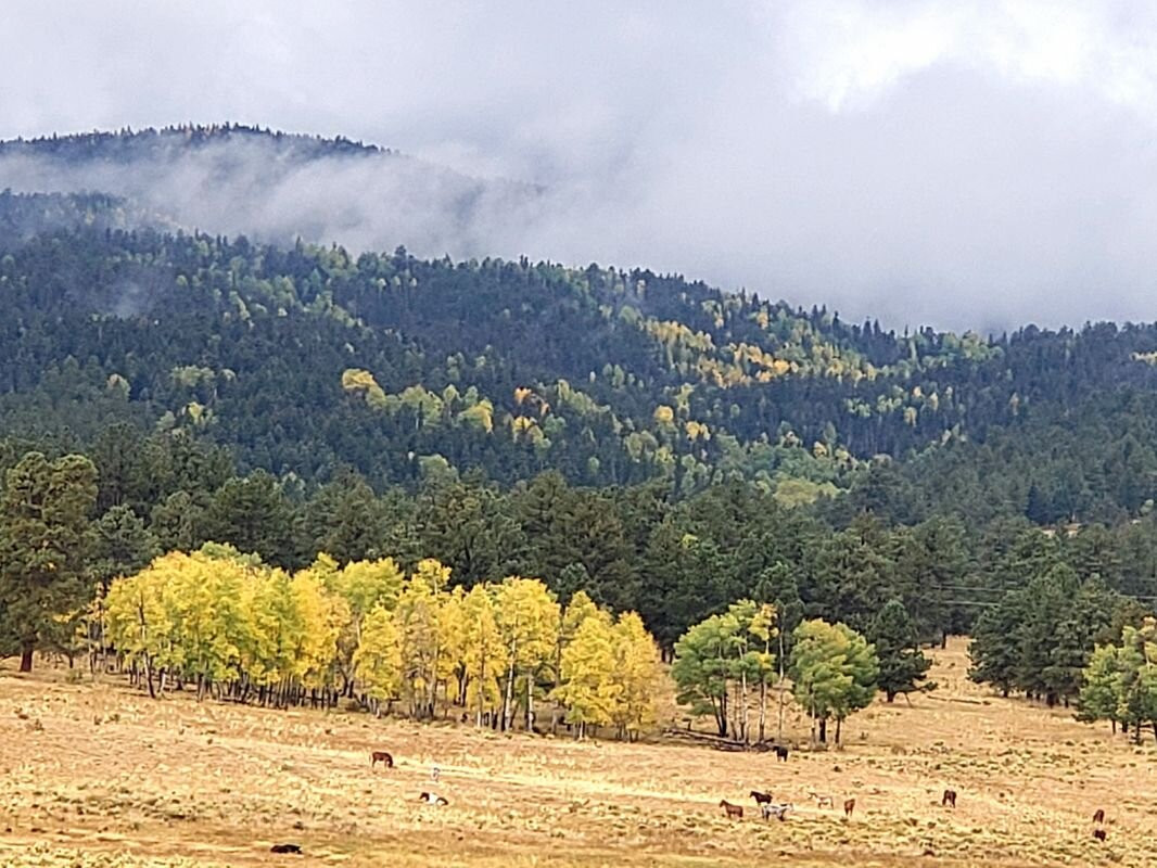 Gold Pan Motel主图