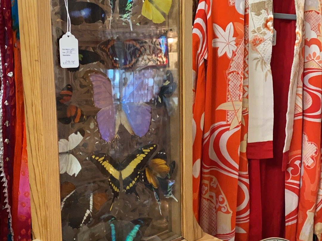 Volo Antique Malls-Volo必去景点