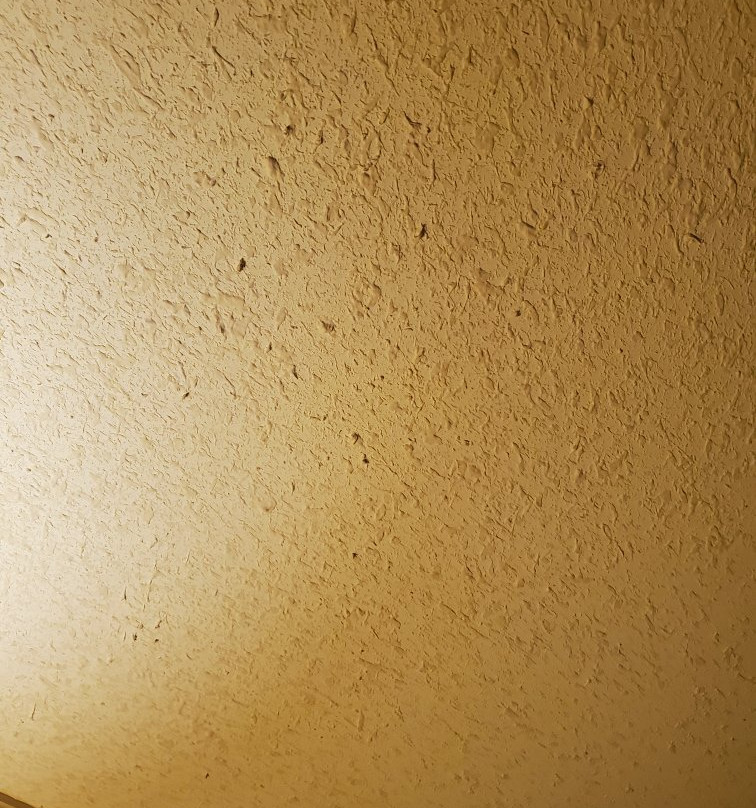 Tamarack Motor Inn主图