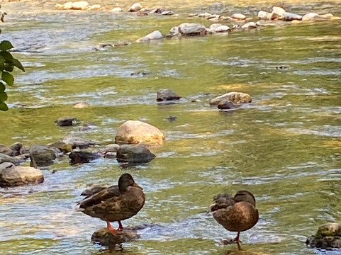 Ludiparc & Le Sucré Salé-卢河畔拉科尔必去景点