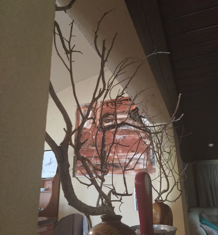 Hotel Villa Calliope主图