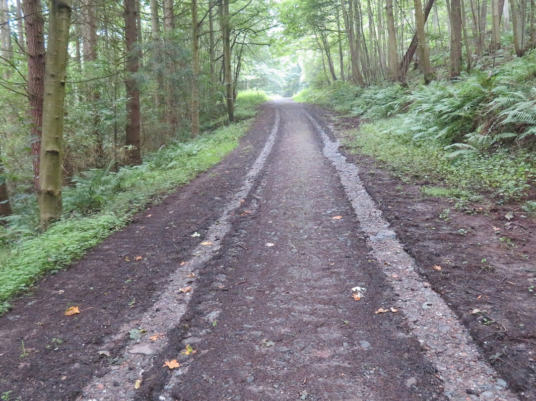 Moncreiffe Hill-珀斯必去景点
