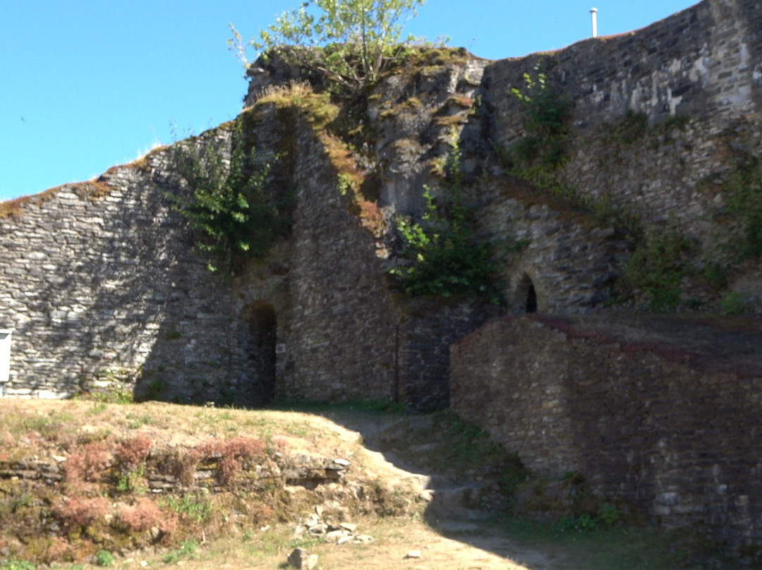 Le chateau de La Roche a Herbeumont景点图片