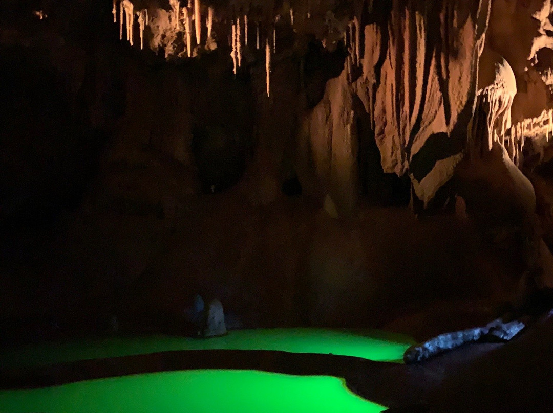 Grotte de Baume Obscure景点图片