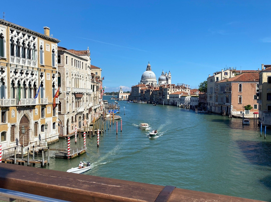 Villa Pace Park Hotel Bolognese主图