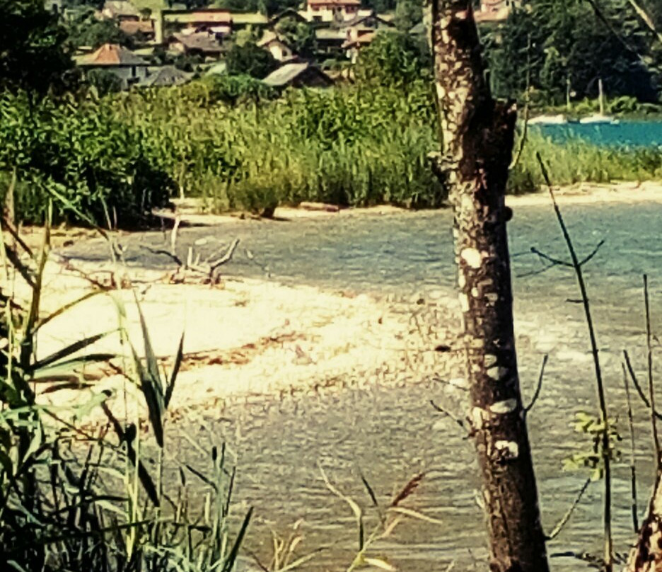 Reserve Naturelle du Bout du Lac景点图片