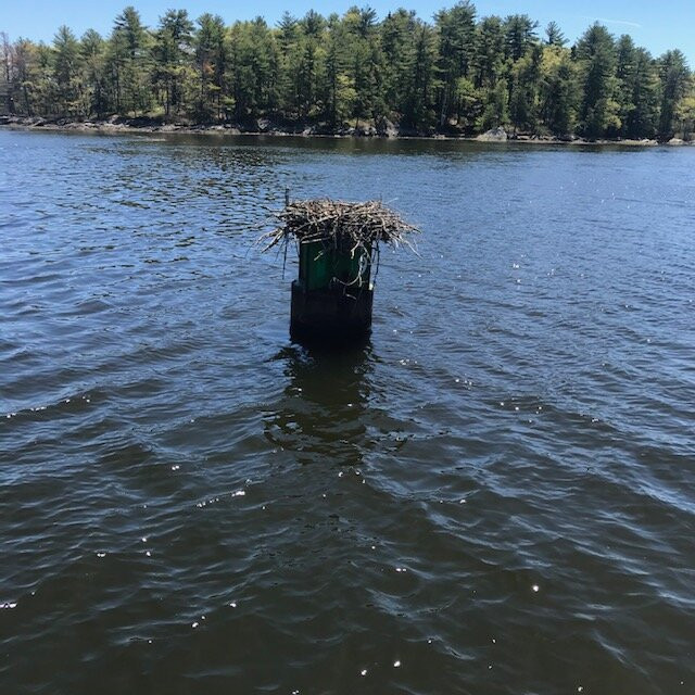 River Run Tours-巴斯必去景点