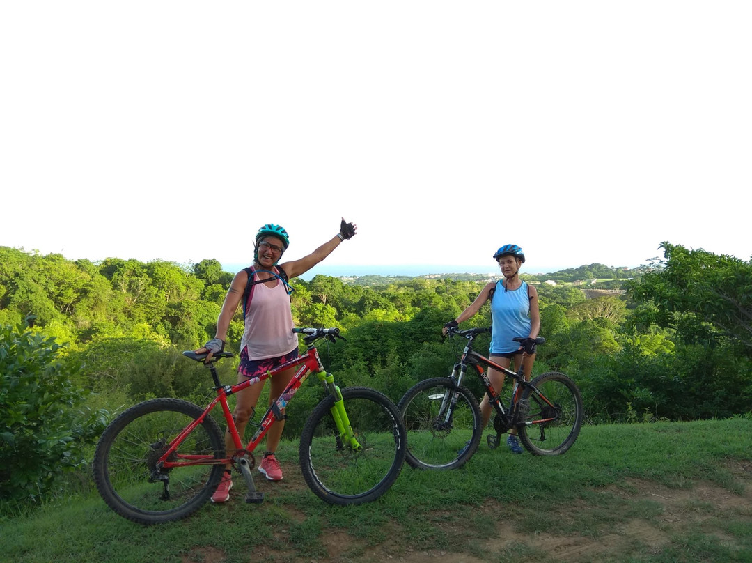Tobago Mountain Bike Tours-多巴哥必去景点
