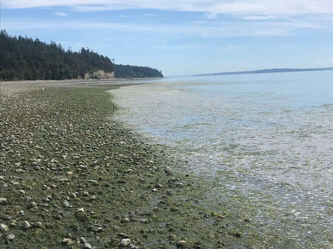 Indian Island County Park景点图片