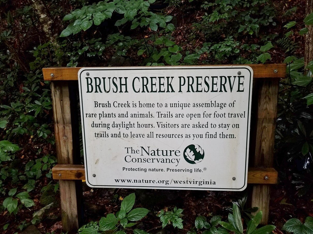 Brush Creek Falls-Athens必去景点