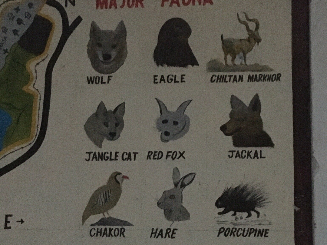 Hazarganji Chiltan National Park-Quetta必去景点