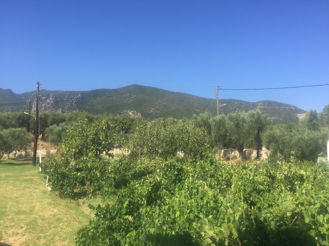 Beach House I & II主图