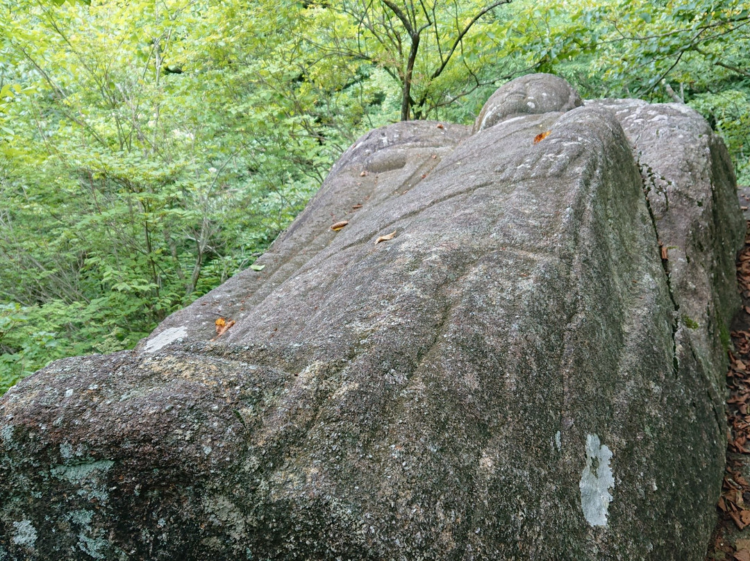 Stone Statue of Neshaka-绿市必去景点