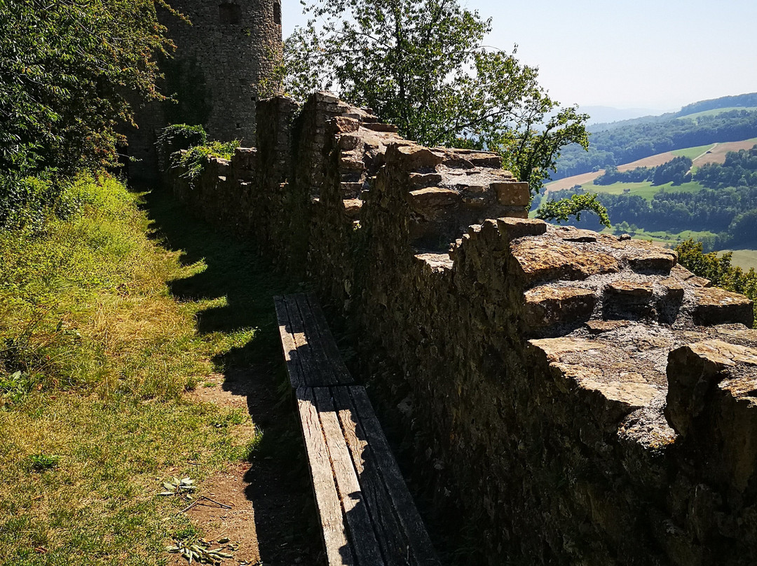 Burgruine Schenkenberg-Thalheim必去景点