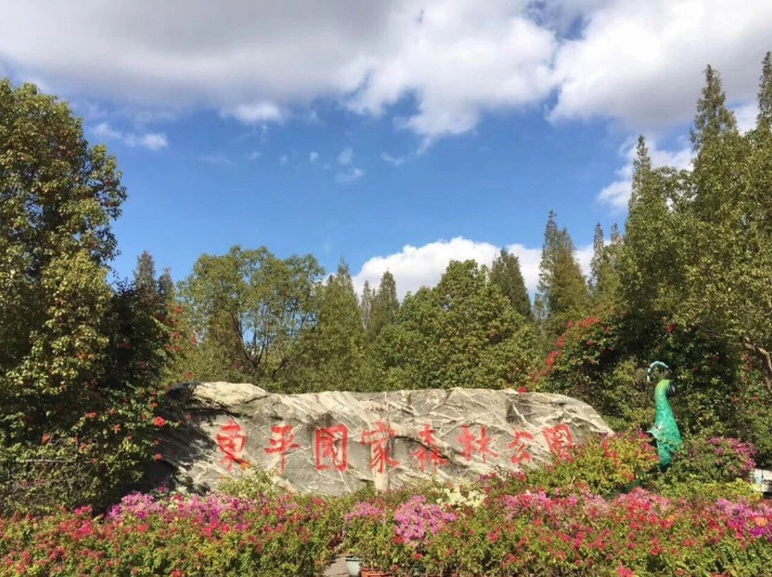 Relaxing and ecological experience in Chongming, Shanghai.-崇明县必去景点