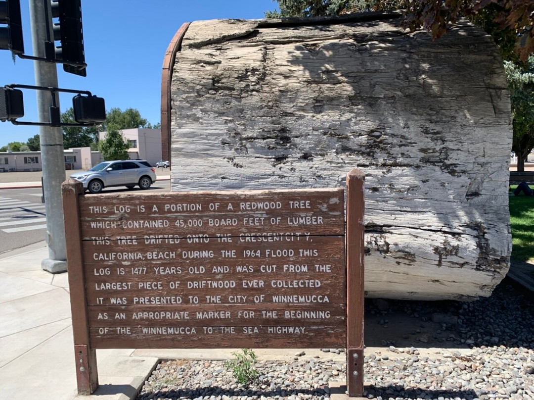 Nixon Park-温尼马卡必去景点