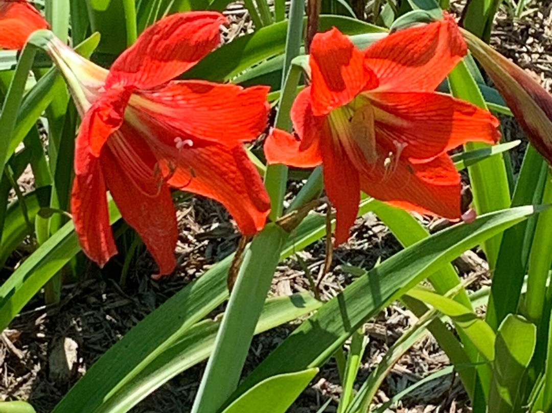 Dogwood Park-Wesley Chapel必去景点