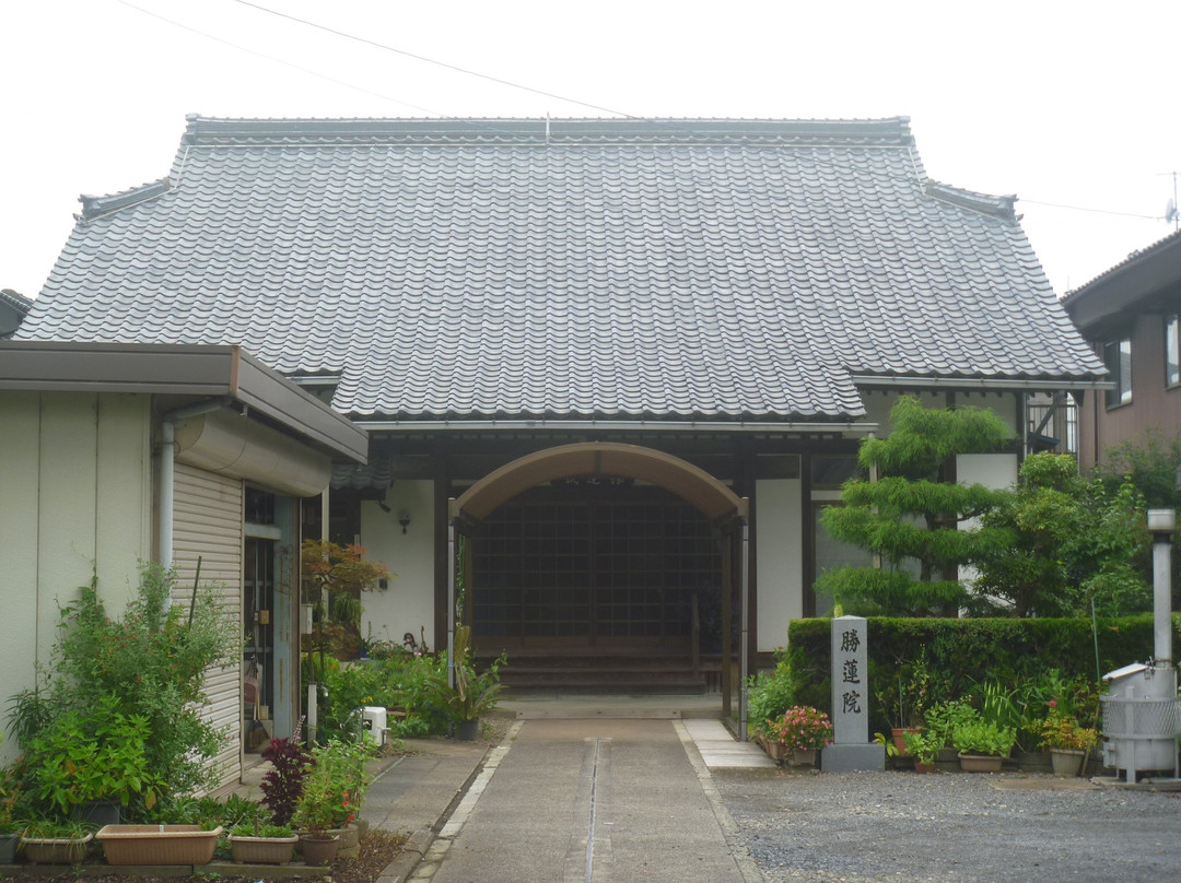 Shorenin Temple-越前市必去景点