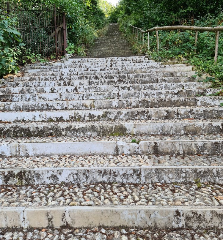 The Deepdene Trail景点图片
