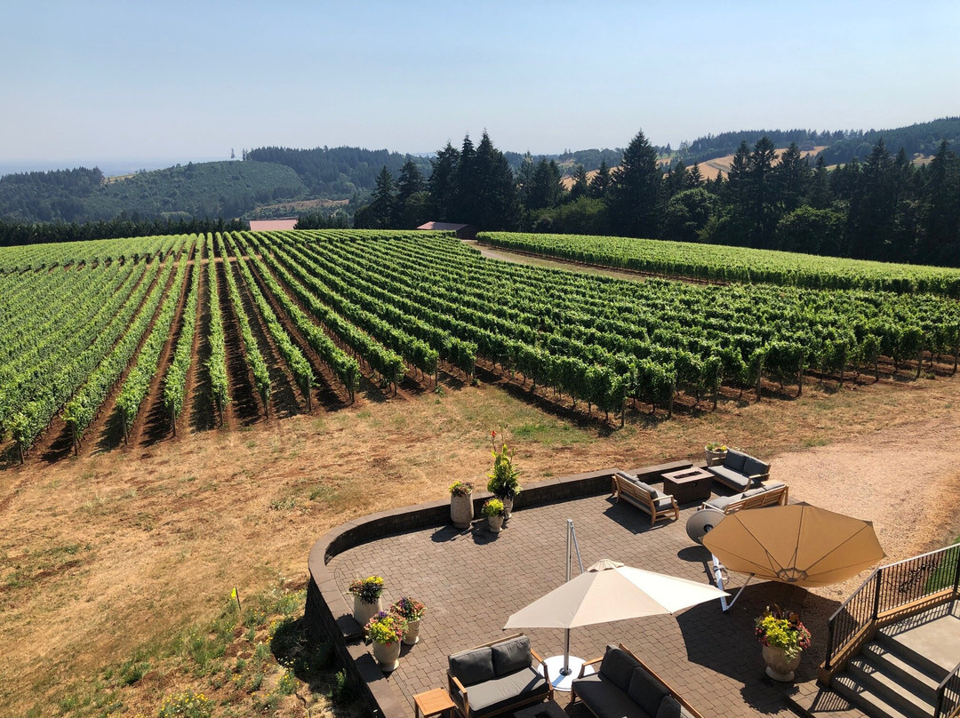 Black Walnut Inn & Vineyard主图