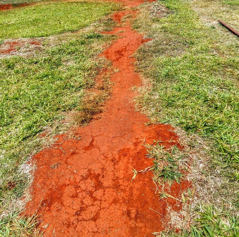 CWA Park-Tolga必去景点
