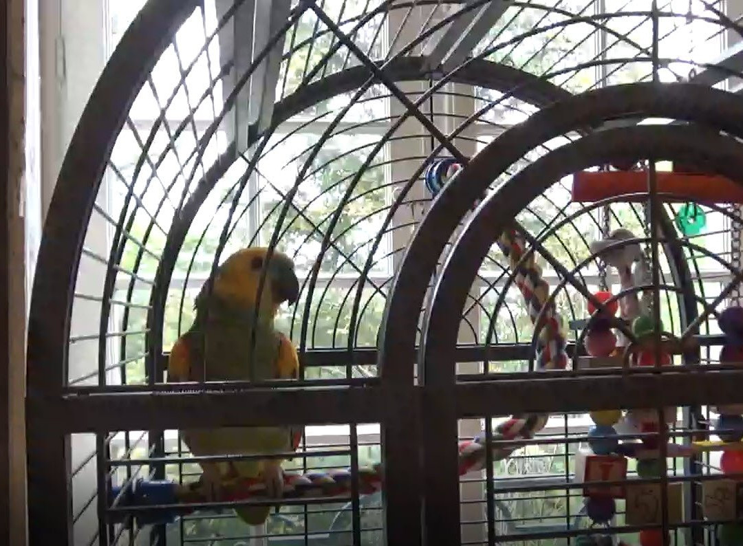 Chateau De Goudourville主图