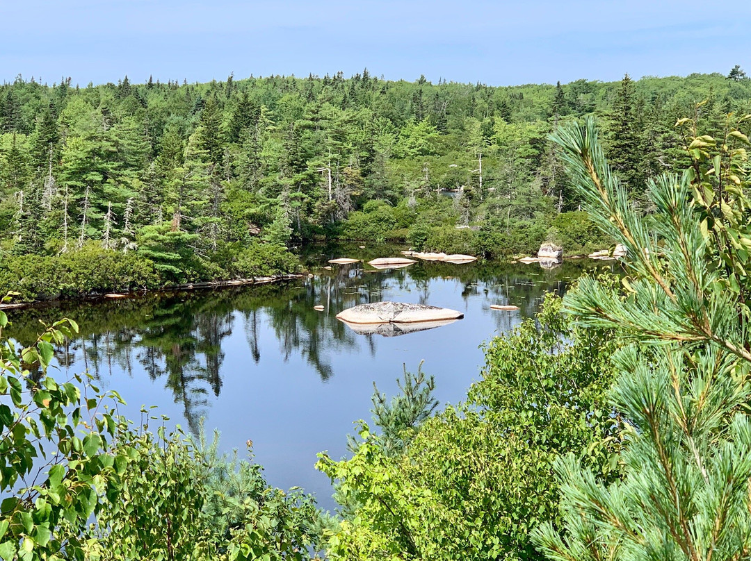 Bluff Wilderness Hiking Trails景点图片