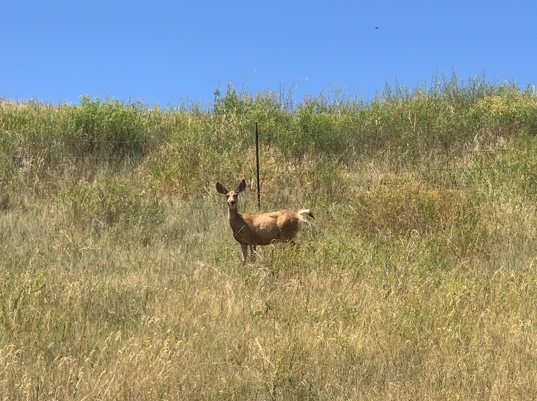 Natural Bridge Falls Picnic Area-Big Timber必去景点