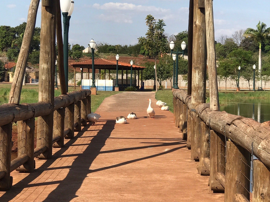 Parque do Povo景点图片
