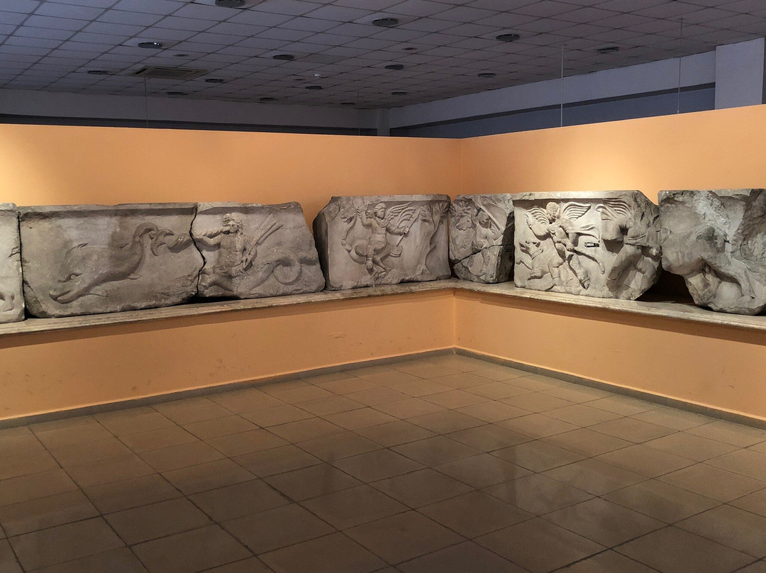 Izmir Museum of History and Art景点图片