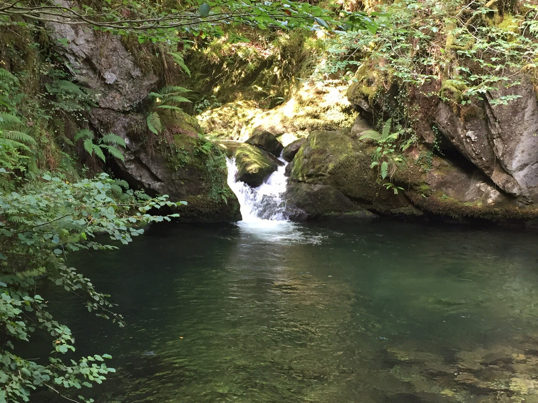 Area Recreativa La Pesanca-Riofabar必去景点