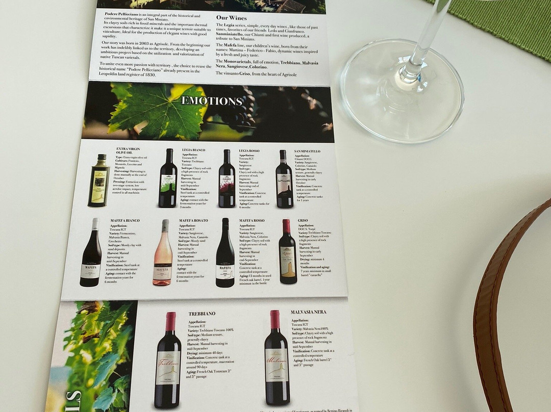 Podere Pellicciano Agrisole-圣米尼亚托必去景点