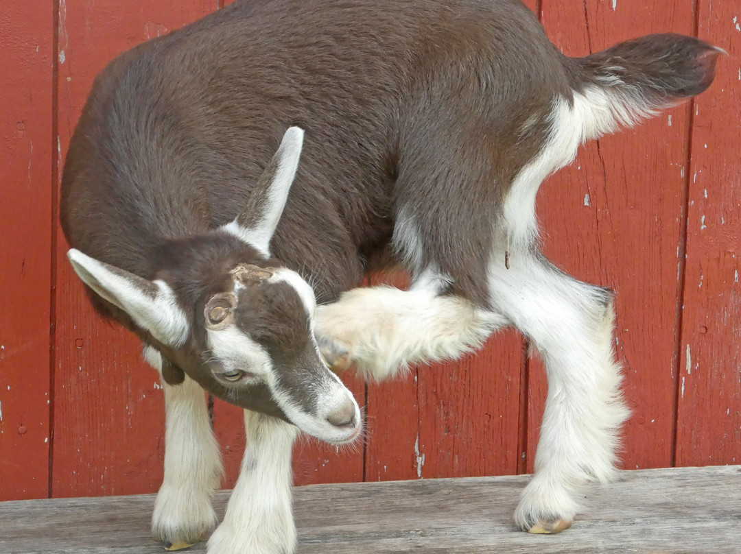 Orwell Corner Historic Village-Orwell必去景点