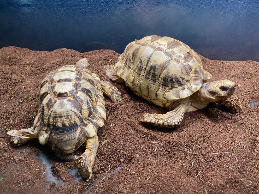 Teradomari Aquarium-长冈市必去景点