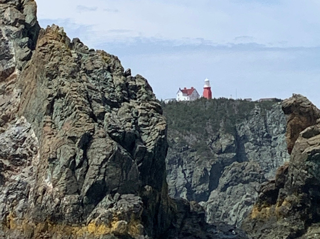 Twillingate Adventure Tours景点图片