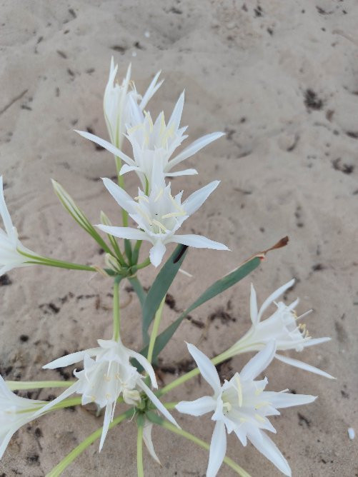 Ashdod Yam Park-阿什杜德必去景点