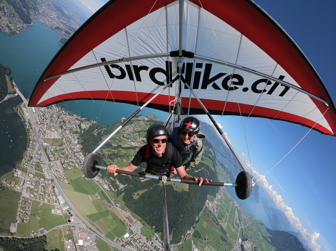 Birdlike Hang Gliding